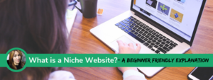 What is a Niche Website a beginner friendly explanation