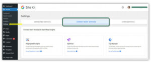Google Site Kit Plugin
